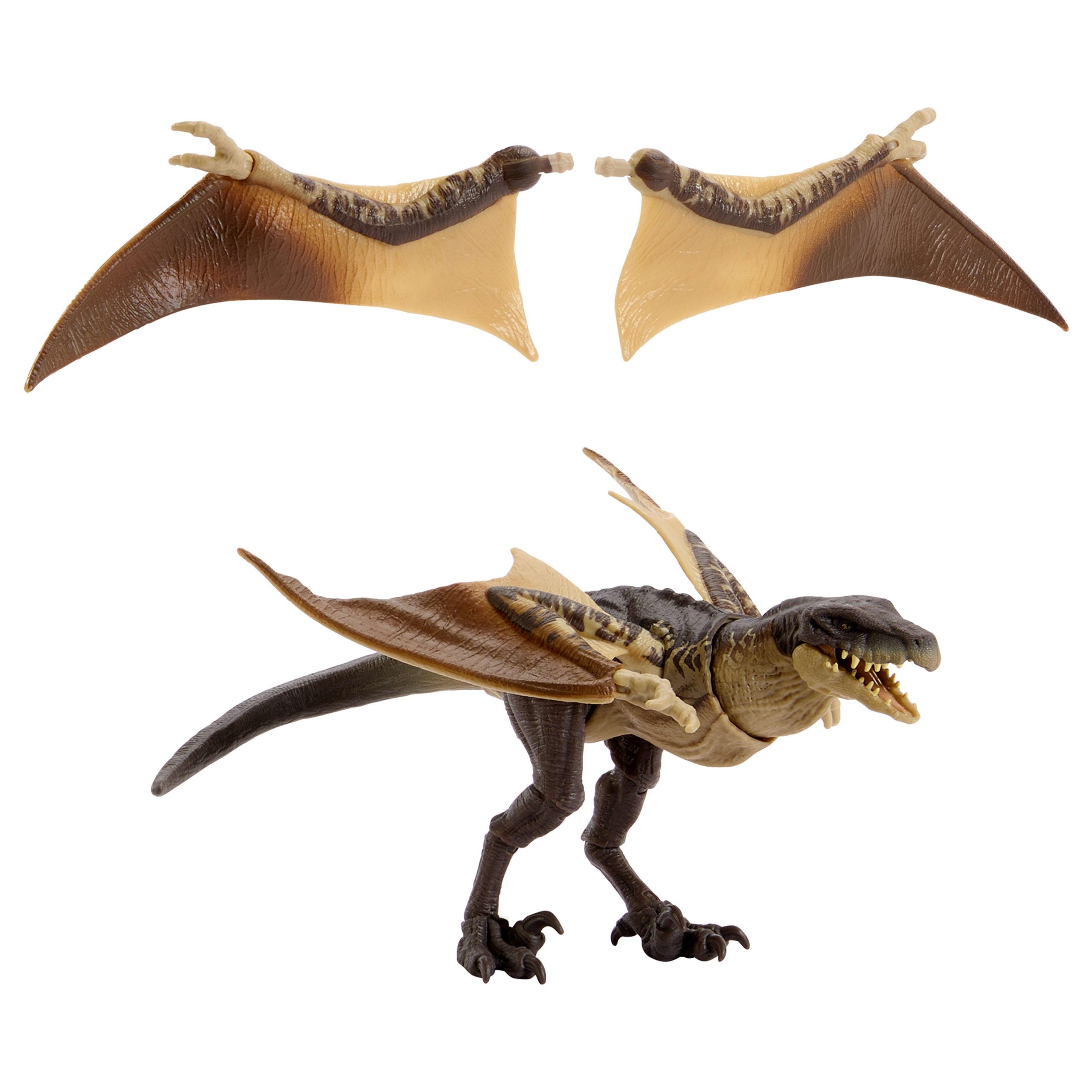 Jurassic World Hammond Collection Mutadon Dinosaur Figure. Deluxe Design And Articulation