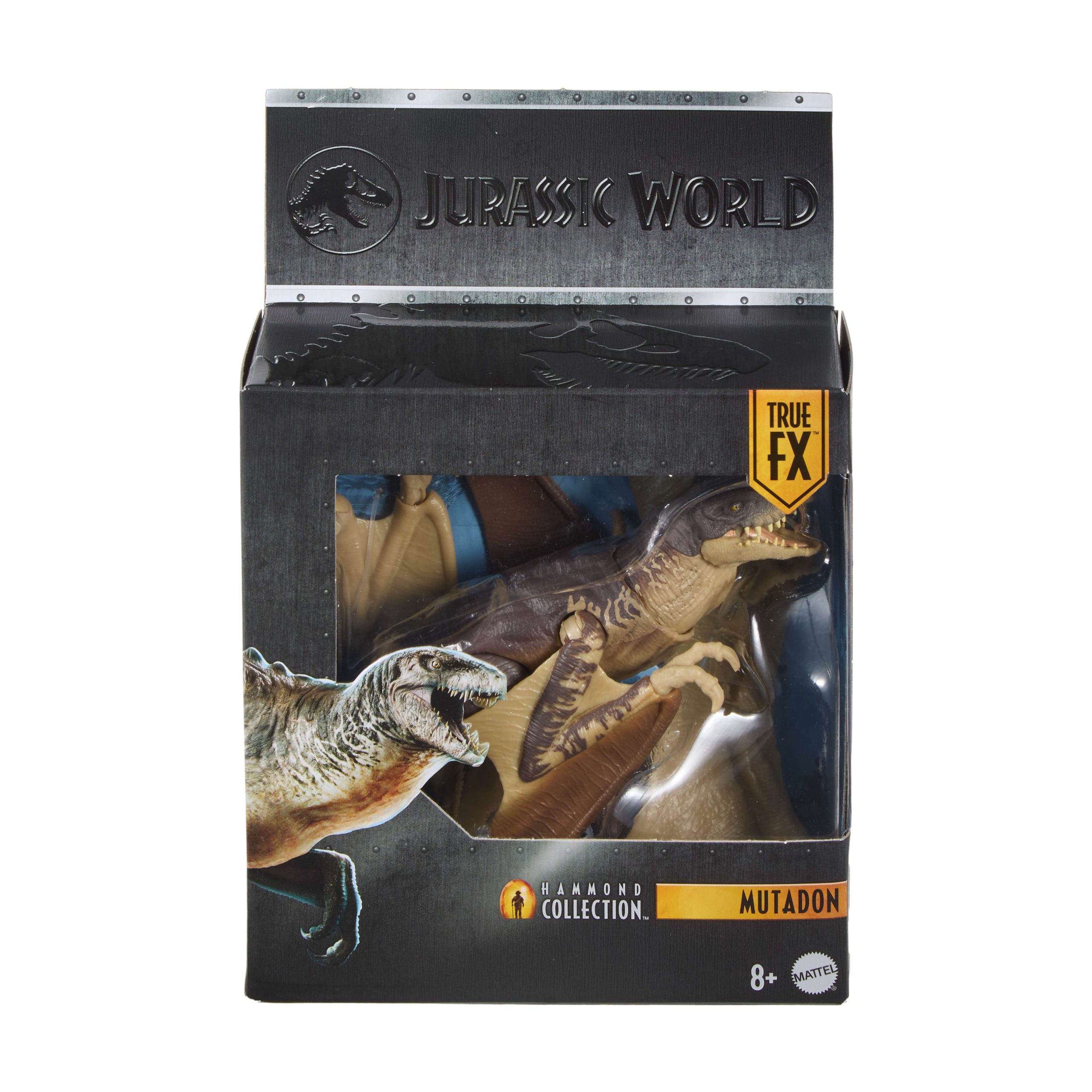 Jurassic World Hammond Collection Mutadon Dinosaur Figure. Deluxe Design And Articulation - Image 6