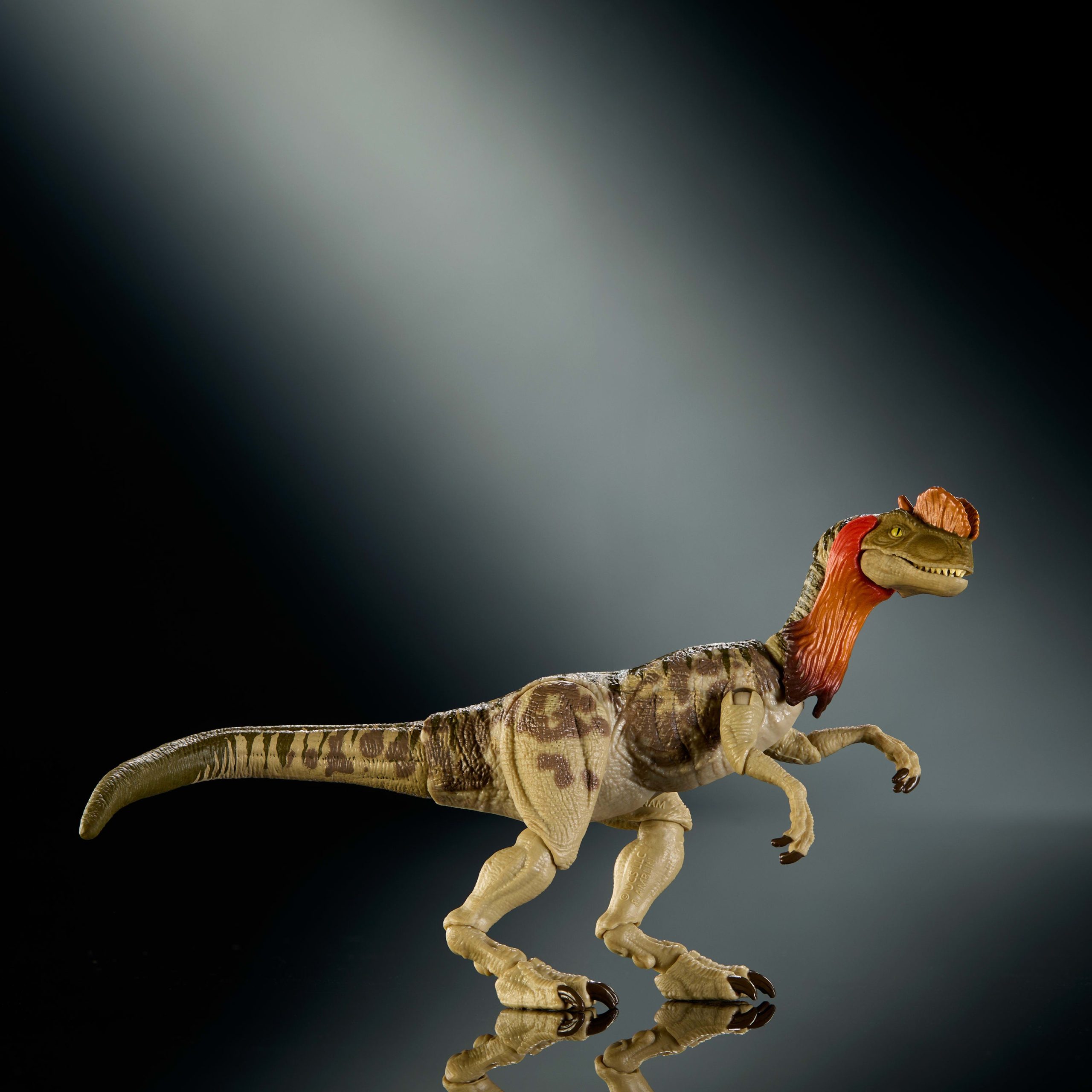 Jurassic World Hammond Collection Dilophosaurus Dinosaur Figure. Deluxe Design And Articulation - Image 4