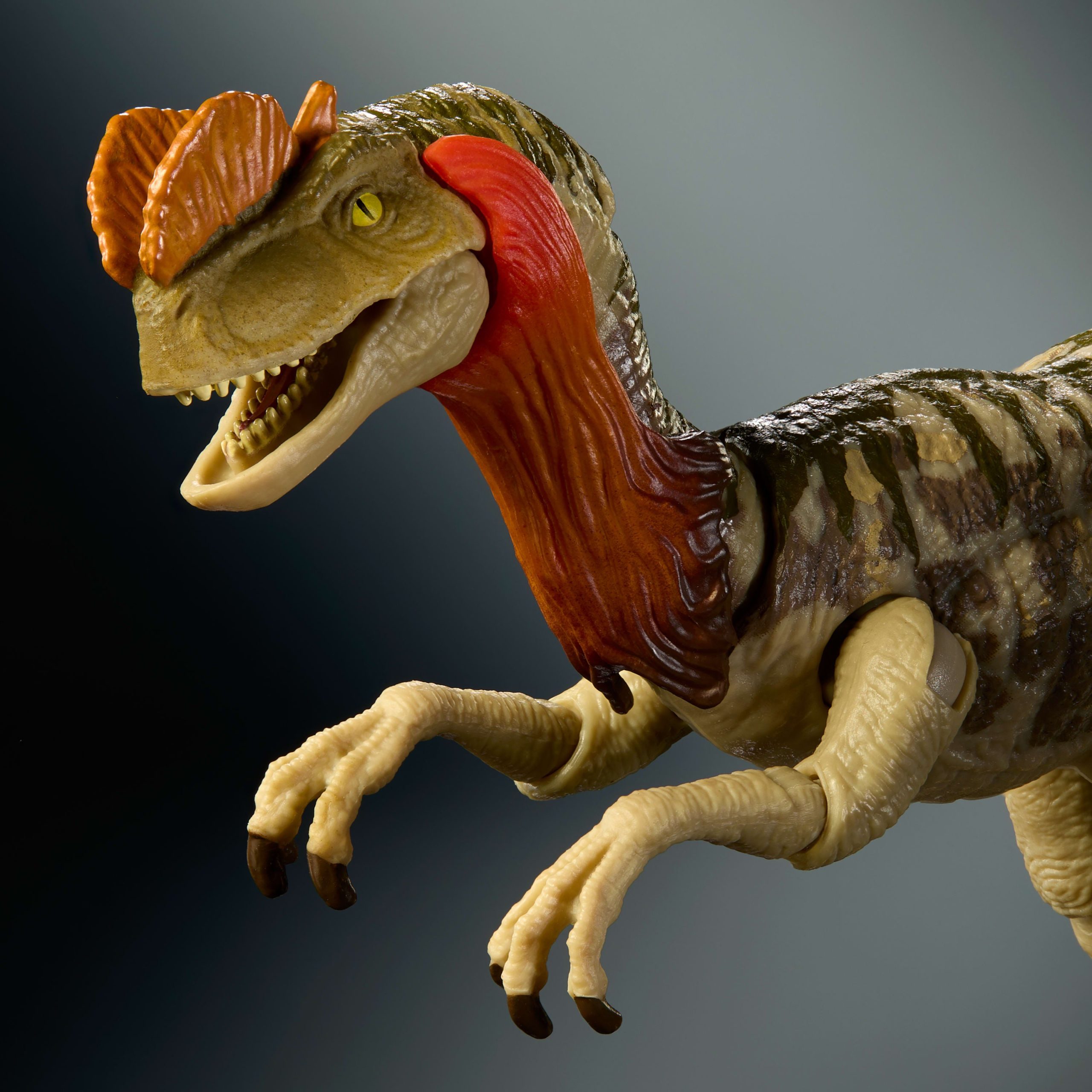 Jurassic World Hammond Collection Dilophosaurus Dinosaur Figure. Deluxe Design And Articulation - Image 3