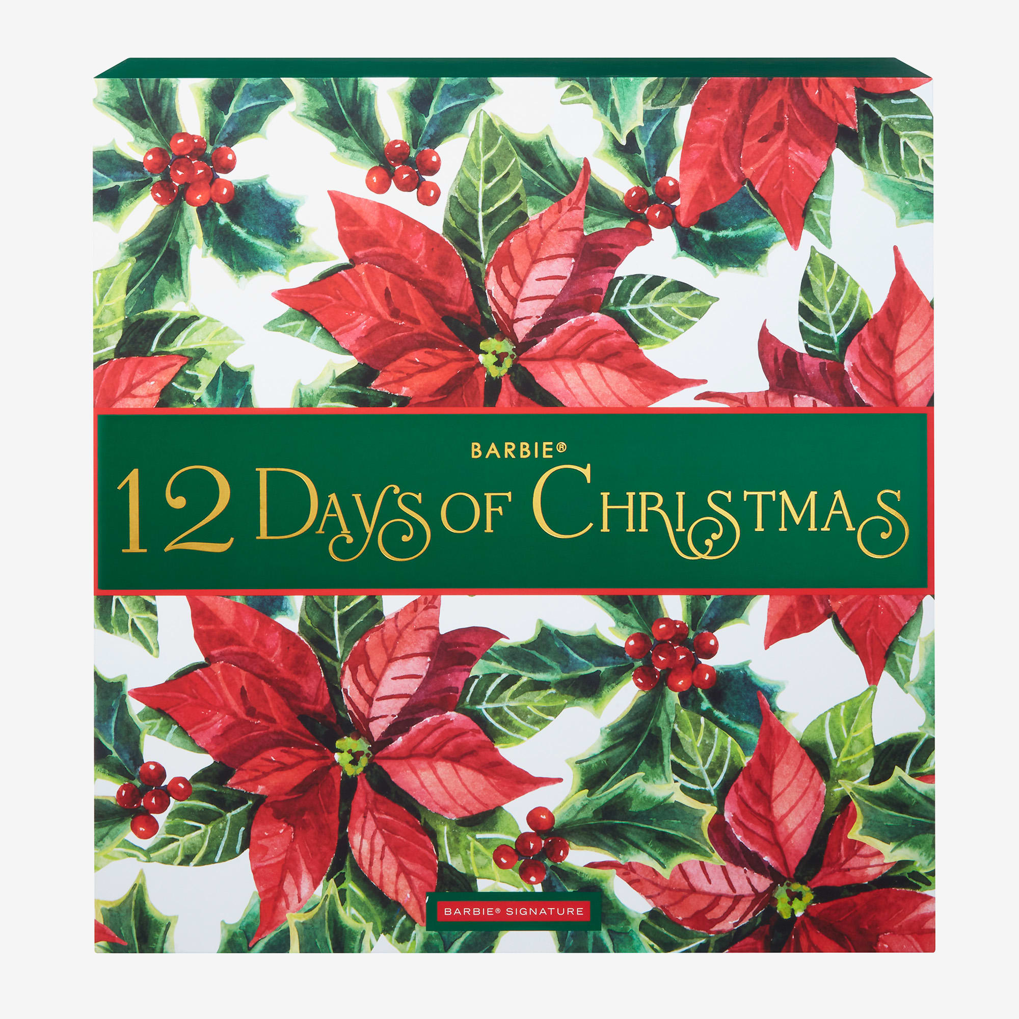 2023 12 Days of Christmas Barbie Doll - Image 13