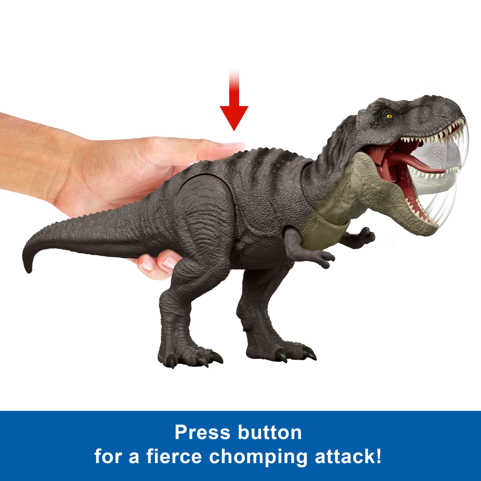 Jurassic World Rebirth Tyrannosaurus Rex Action Figure. Dinosaur Toy. T-Rex Chomp Attack - Image 4