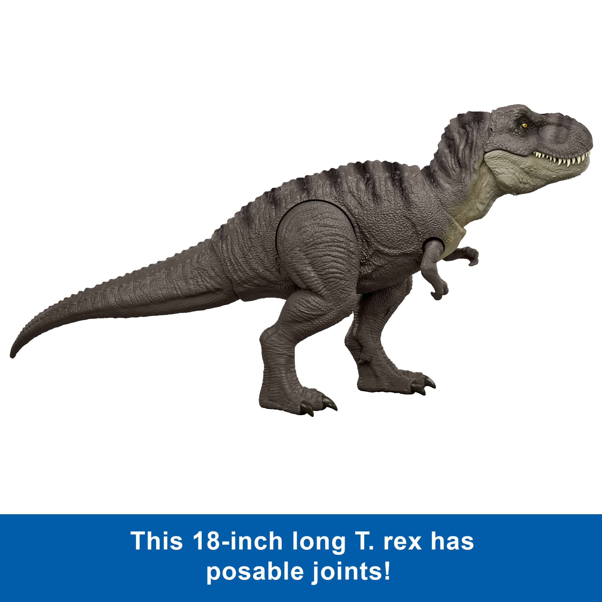 Jurassic World Rebirth Tyrannosaurus Rex Action Figure. Dinosaur Toy. T-Rex Chomp Attack - Image 3