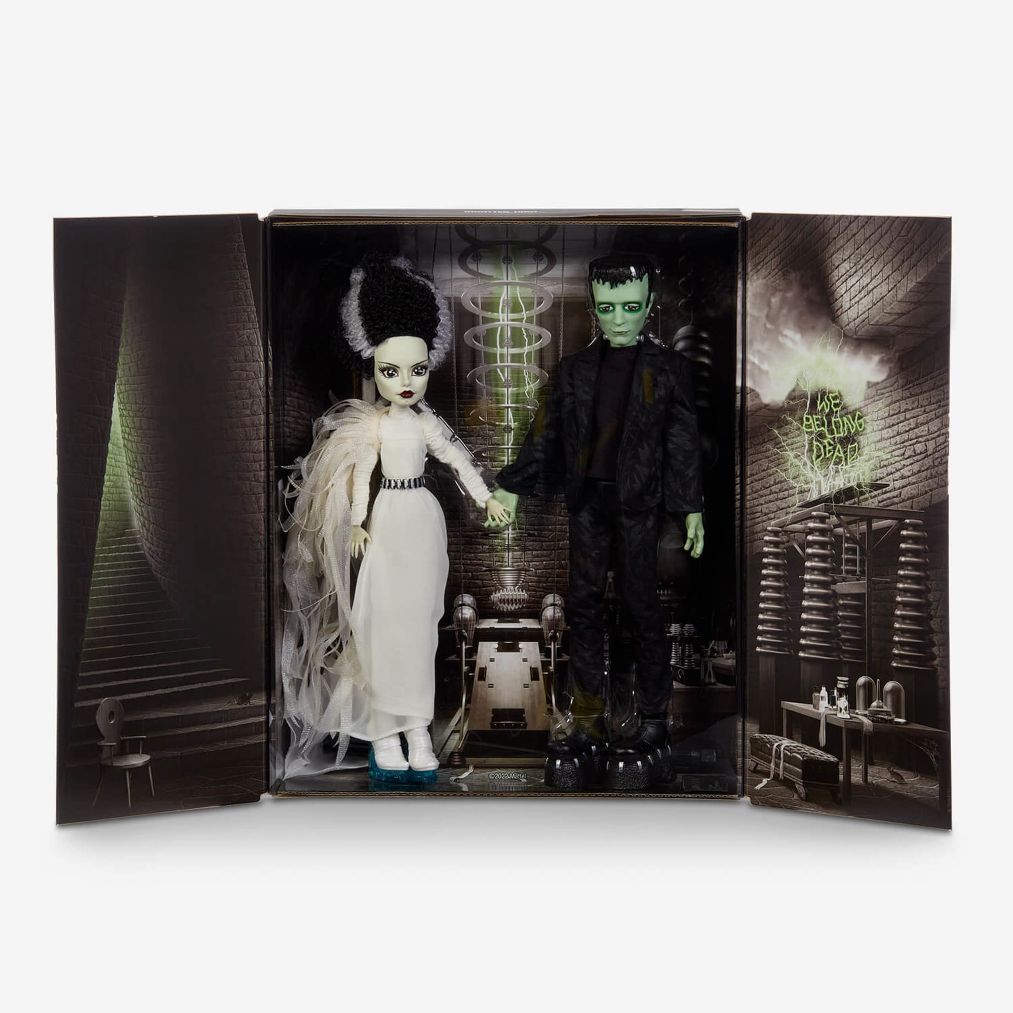 Frankenstein & Bride of Frankenstein Monster High Skullector Doll Set - Image 8