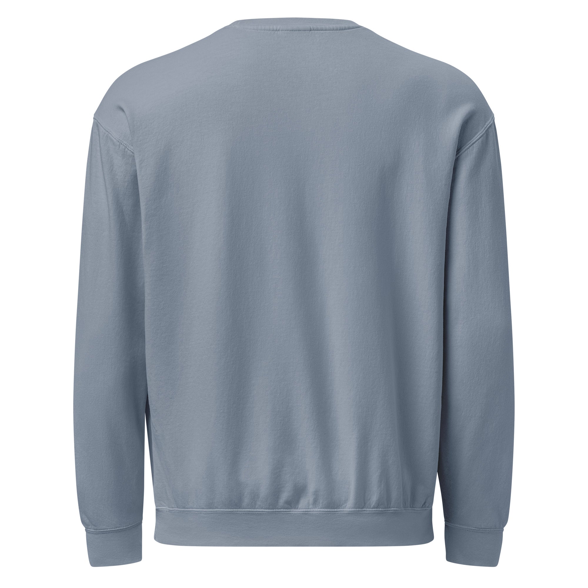 Barbie Artist Series Robert Best Blue Sweatshirt - Image 4