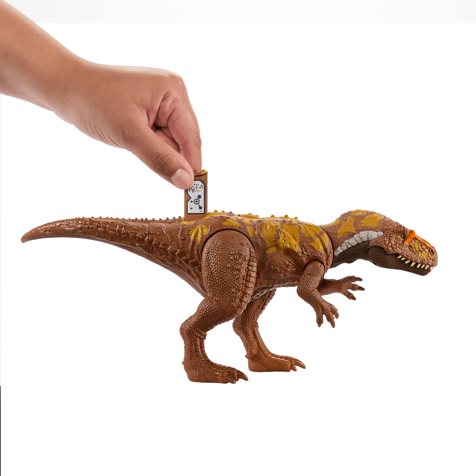 Jurassic World-Megalosaurus Rugissement Féroce-Figurine Articulée - Image 4